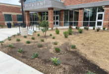 flower beds at main entrance